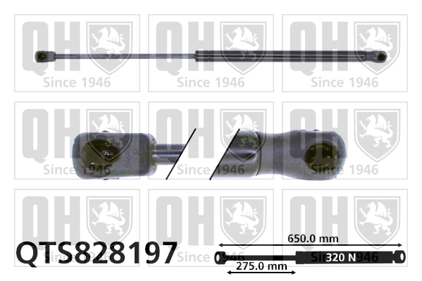 QTS828197