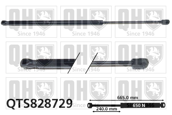 QTS828729