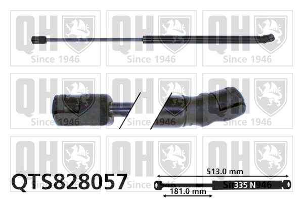 QTS828057