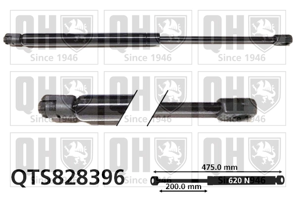 QTS828396