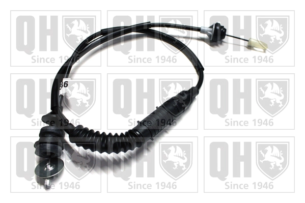 QCC1686