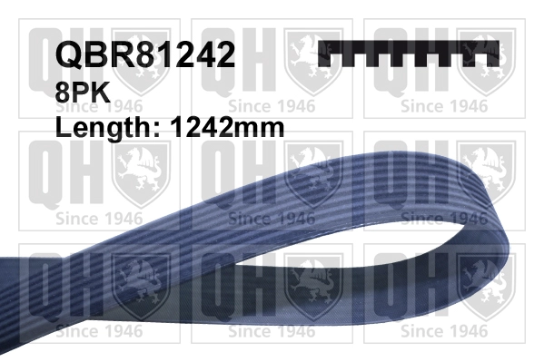 QBR81242