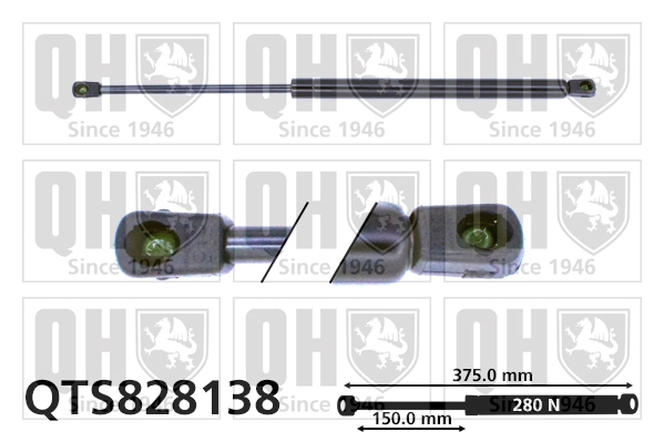 QTS828138