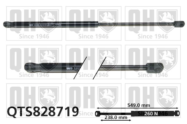 QTS828719