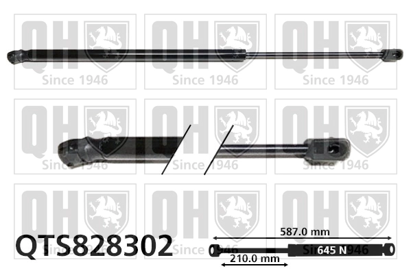 QTS828302