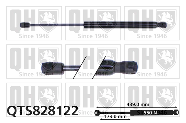 QTS828122