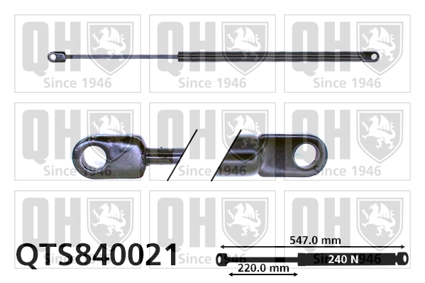 QTS840021
