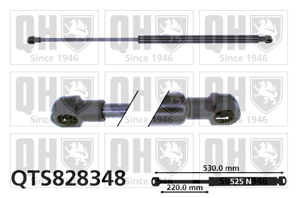 QTS828348