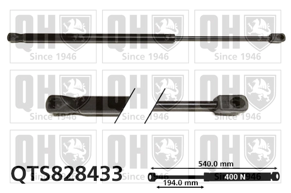 QTS828433