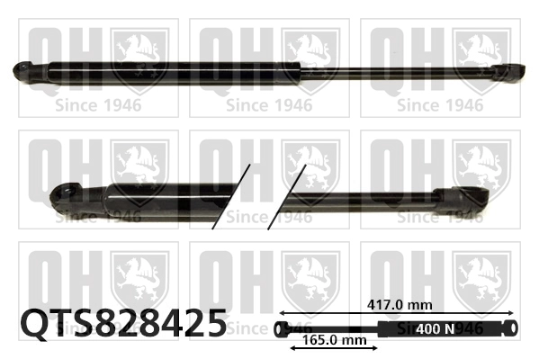 QTS828425