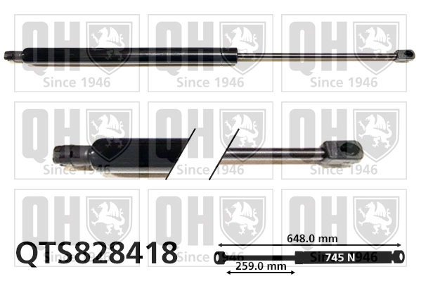QTS828418
