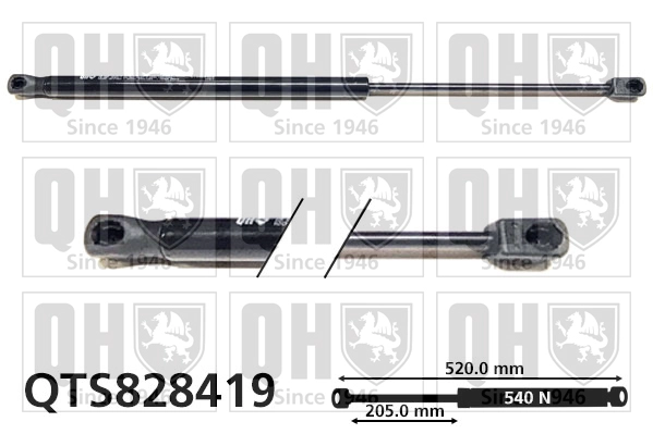 QTS828419