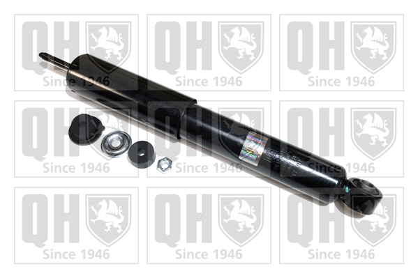 QAG181319