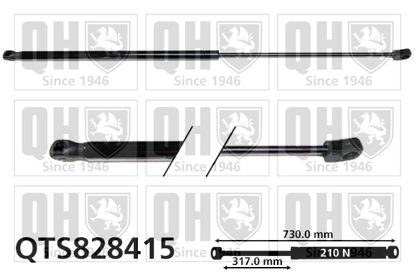 QTS828415