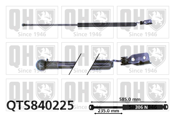 QTS840225