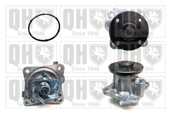 QCP3636