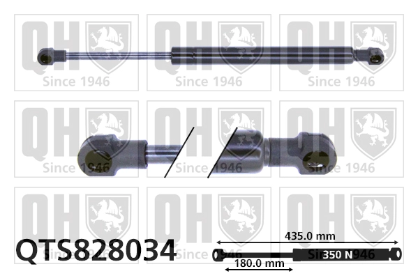 QTS828034