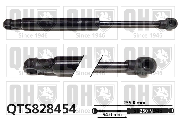 QTS828454