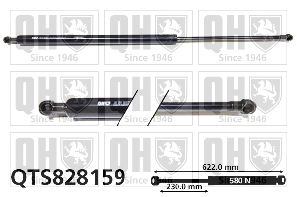 QTS828159