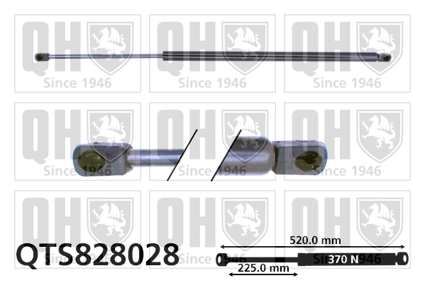 QTS828028