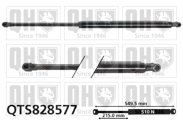 QTS828577
