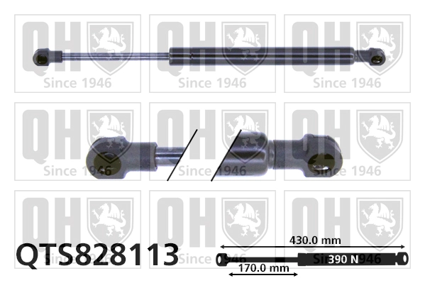 QTS828113
