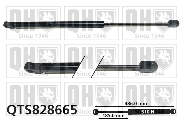QTS828665
