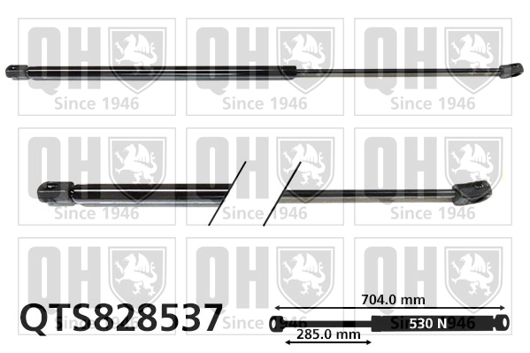QTS828537
