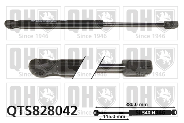 QTS828042