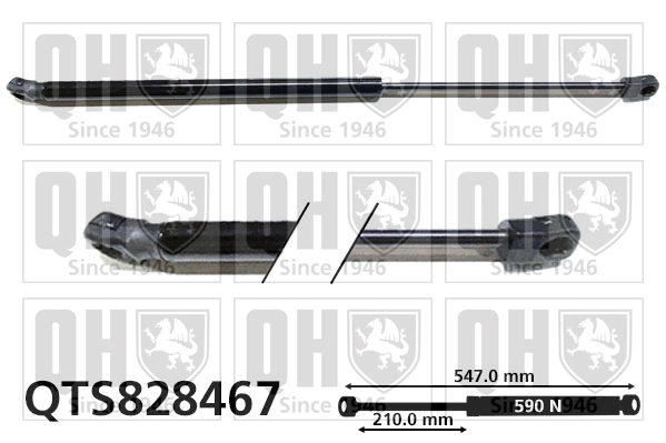 QTS828467