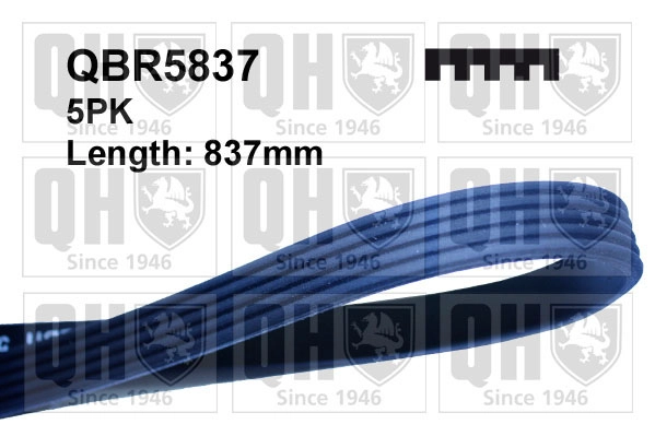 QBR5837