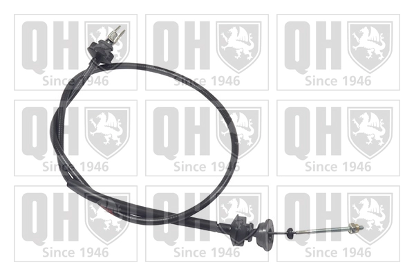 QCC1319