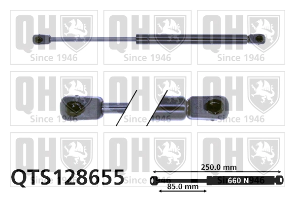 QTS128655