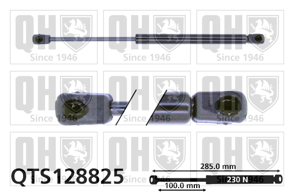 QTS128825