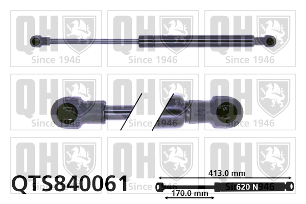 QTS840061