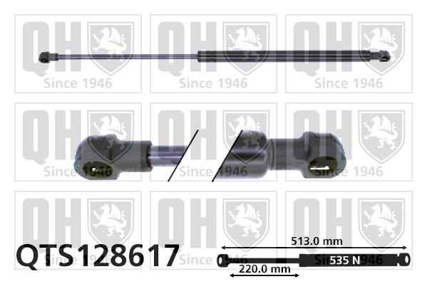 QTS128617