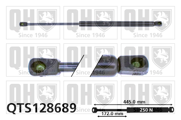 QTS128689