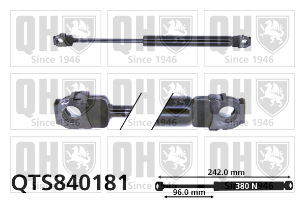 QTS840181