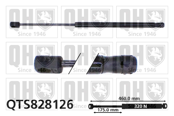 QTS828126