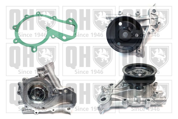 QCP3982