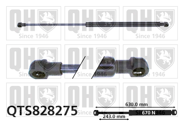 QTS828275