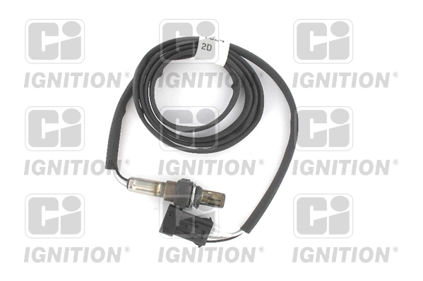 XLOS1081