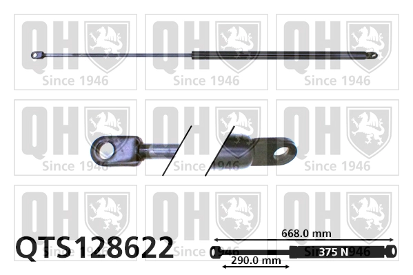 QTS128622