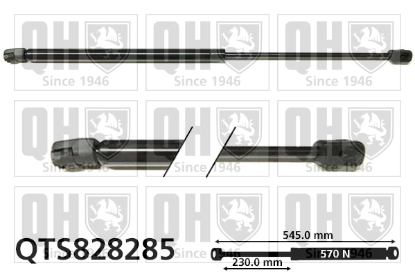 QTS828285