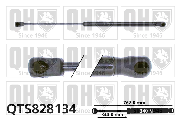 QTS828134
