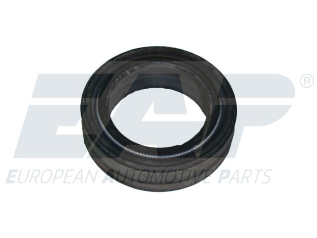 EAP2161