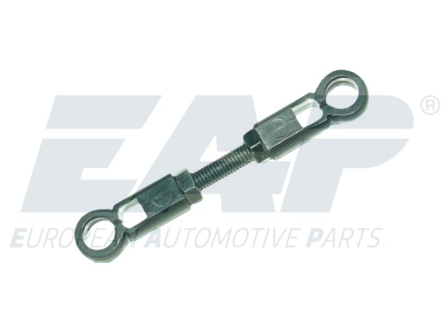 EAP1009