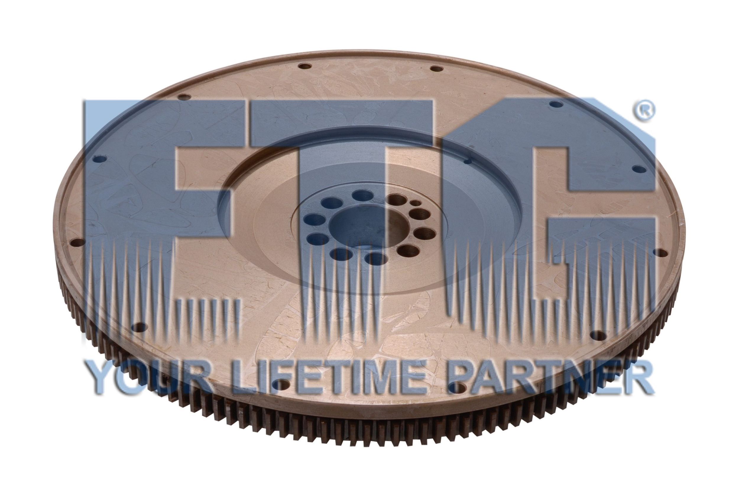 02.01.03.200381