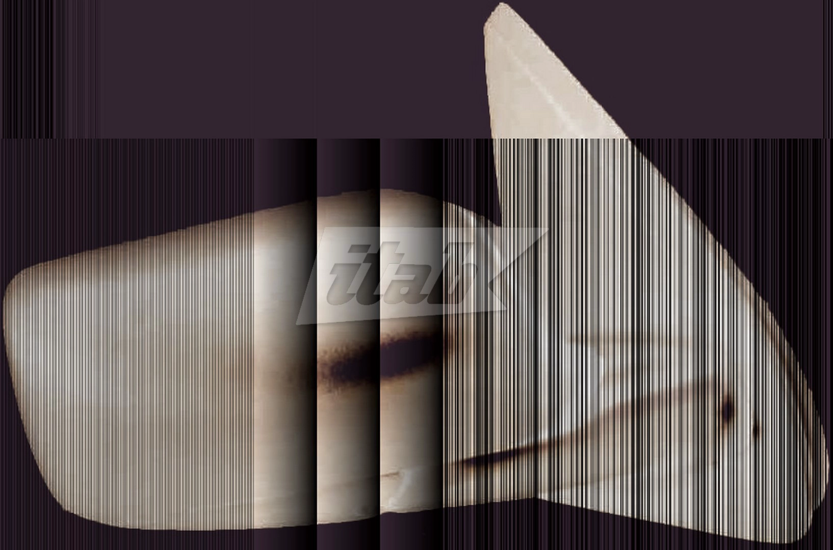 RTVR1007AV