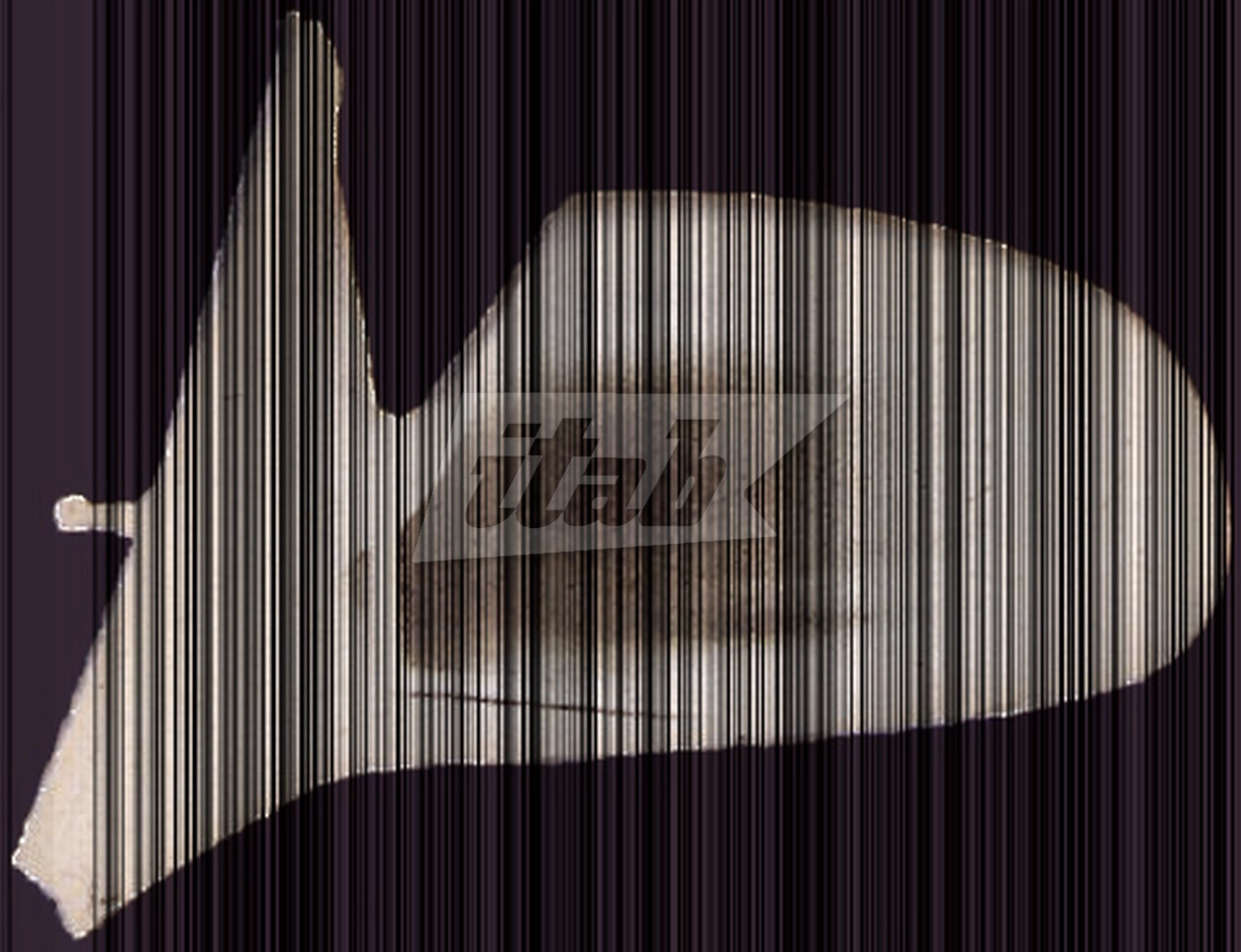 RTVR2557AV